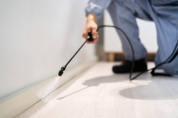 Licensed Mosquito Control service in Gate City, VA - Show Me Pest Control