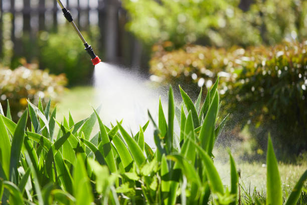 24/7 Emergency Mosquito Control experts in Gate City, VA