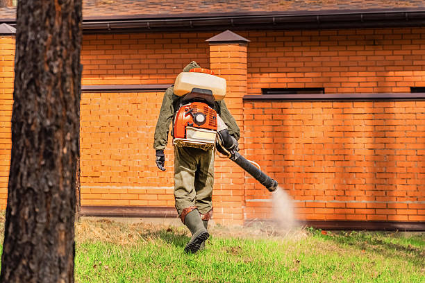 Top rated local Mosquito Control specialists in Gate City, VA